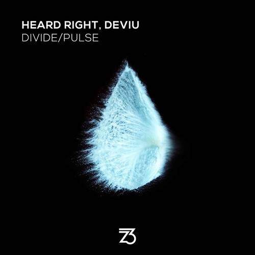 Heard Right & Deviu - Divide_Pulse [ZT23801Z]